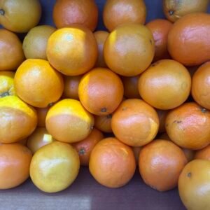 Naranjas zumo nacionales valenciana