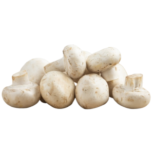 Champiñón Extra (kg)