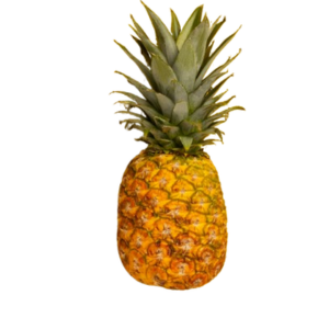 Piña Monte (unidad)