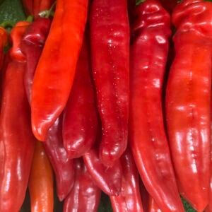 Pimiento Palermo Rojo (kg)