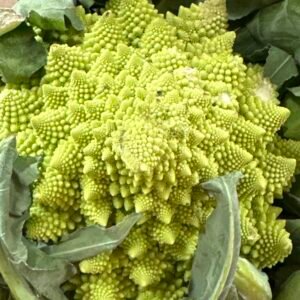 Romanescu (unidad)